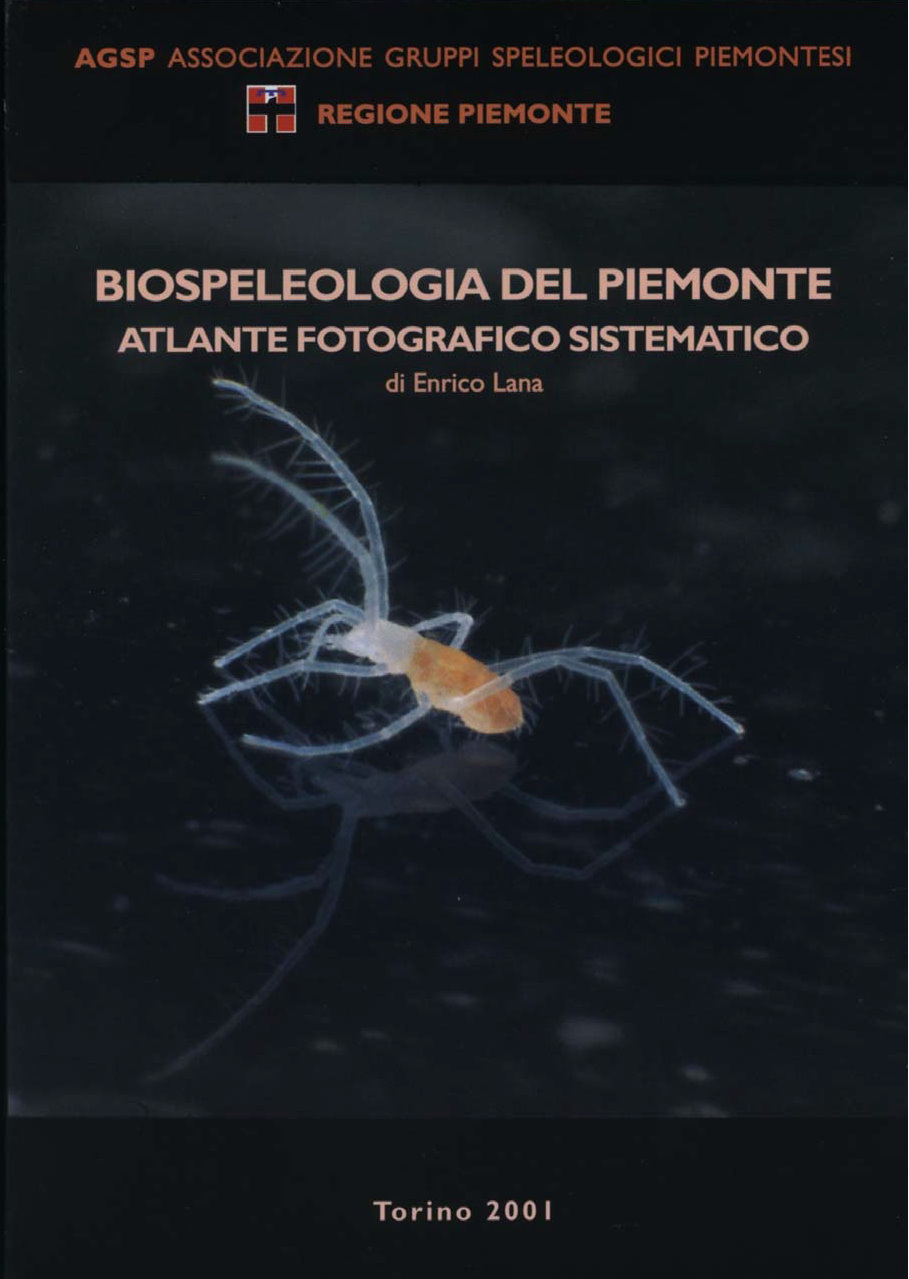 Foto bibliografia